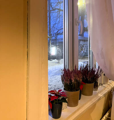 Blick aus dem Frühstücksraum des Economy Hotels